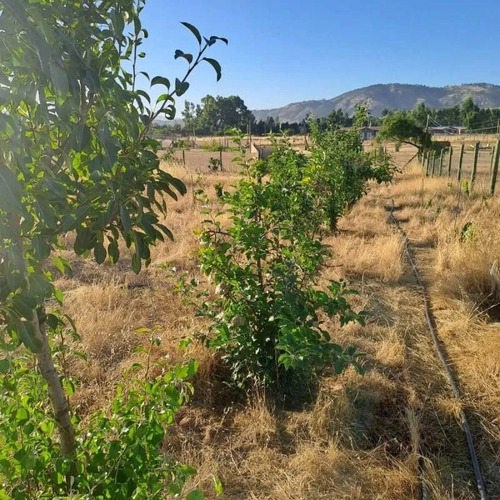 Parcela Con Agua Y Luz A 130 Kms De Santiago
