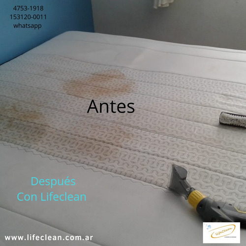 Imagen 3 de 5 de Limpieza/desinfección De Alfombras/sillones, Tapizados.