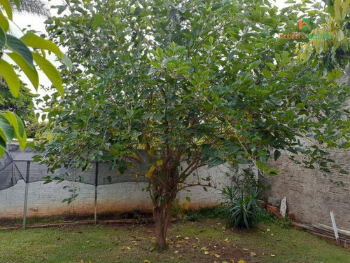 Imagem 15 de 30 de Chácara Em Araçoiaba, Jardim Salete Com Tour Virtual - Ch0229