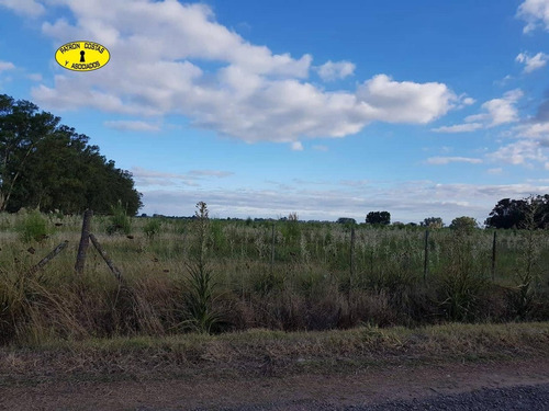 Imagen 4 de 7 de 2781cf- 8,5 Ha Sin Mejoras Para Explotación Loteo Inversores