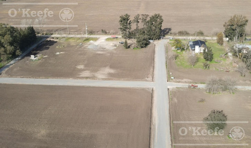 Lotes En Venta En El Pato - Berazategui - Terrenos Desde 295 M2