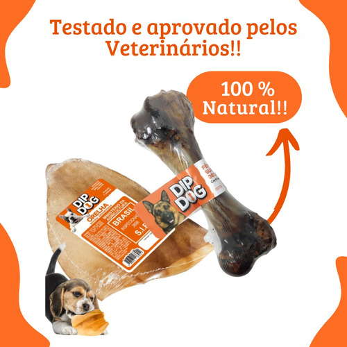 Kit 8 Modedor Natural Orelha Bovina Petisco E 2 Osso Fêmur Cor Bege