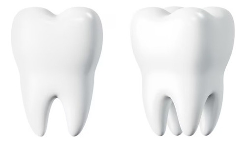 Exodoncia Extraccion Dentaria Diente Simple