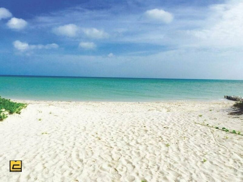 Terreno En Venta En Chicxulub Puerto Yucatán Playa