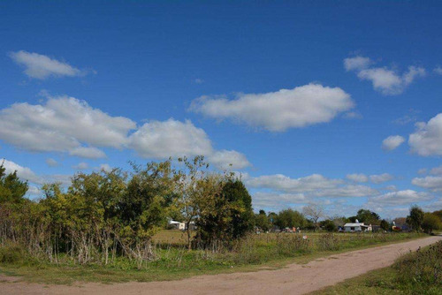 Imagen 6 de 10 de Chacra , En Madariaga !