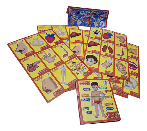 Juego Mesa Lotería Educativa Partes Cuerpo Didáctica Escolar