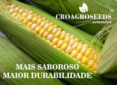 Milho Verde - Pamonheiro 2kg / Híbrido / Pamonha Silagem