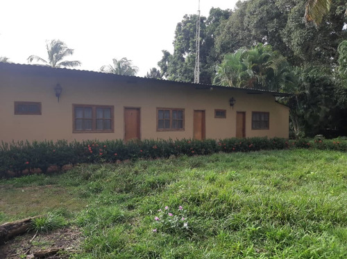 Imagen 14 de 27 de Se Vende Finca El Maitero Via El Sur De Monagas Ve02-1098vs-mtru