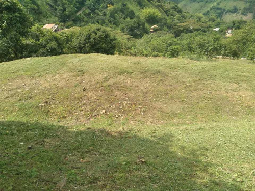 Vendo Terreno Suroeste Ruta Del Café