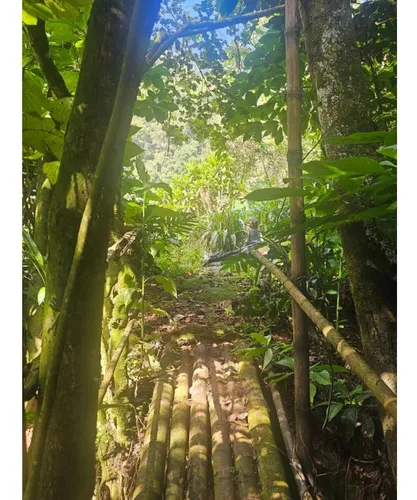Finca En Venta En La Vega. Cod V7537