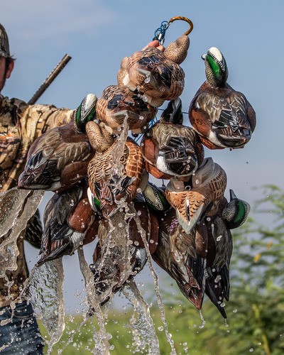 Lifetime Decoys Hydrofoam Wigeon, Ligera