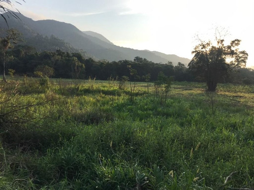 Imagem 10 de 29 de Fazenda À Venda, 3509000 M² Por R$ 2.000.000 - Centro - Pariquera-açu/sp - Fa0216