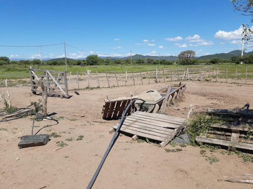 Campo En Venta Sobre Ruta 146 San Francisco, San Luis