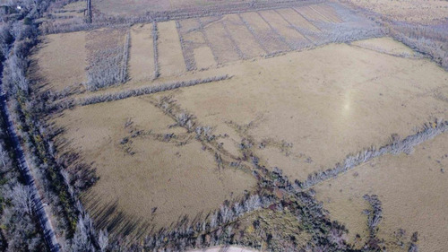Imagen 6 de 13 de Venta 8 Hectareas En Seccion 1 De Islas Del Parana