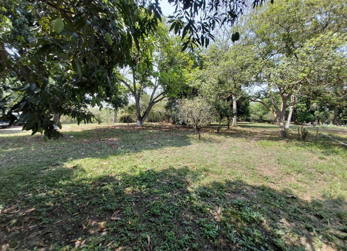 Terreno En Renta, La Garita, Huejutla De Reyes