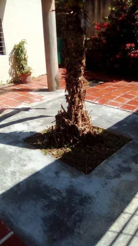 Imagen 4 de 16 de Venta Casa En Chalet Country San Diego