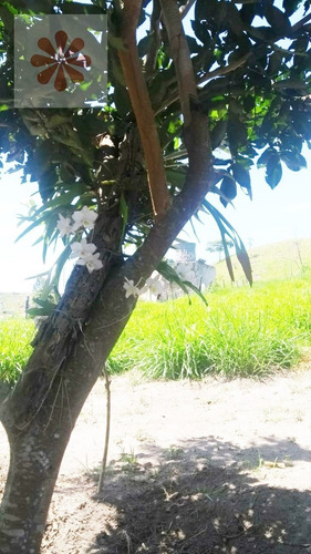 Imagem 6 de 9 de Terreno Em Guararema - Guararema - 5826
