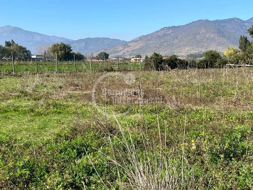 Parcela En Venta En Palmilla