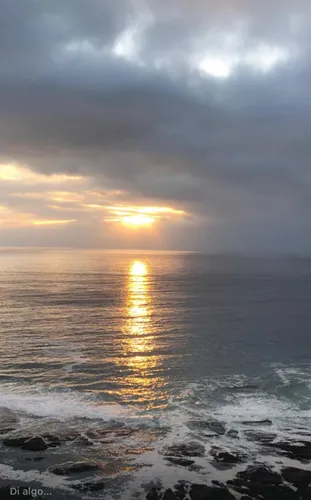 Hermoso Iluminado Y Cómodo Departamento En Playa Llacolen