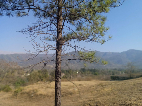 Imagen 23 de 26 de Terreno Venta Club De Campo El Tipal 3600 M2