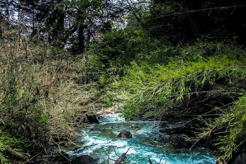 1 Hectárea Con Río Y Bosque | Tinquilco - Huerquehue - Pucón