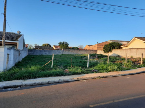 Imagem 2 de 2 de Terreno À Venda - Te0289