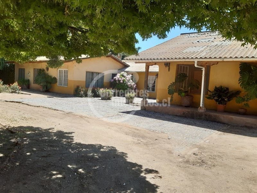 Imagen 3 de 14 de Agrícola En Venta En Santa Cruz