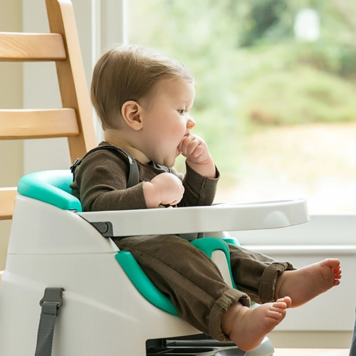 Silla Periquera Booster Ingenuity Baby Base 2 En 1 Nombre Del Diseño Baby Base Color Verde Musgo