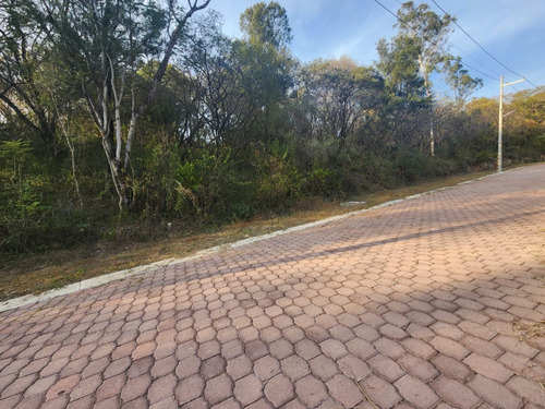 Venta Lote Gladiola 36 En Nueva Zona Del Fraccionamiento Muy Cerca De La Entrada Con Vistas Panorámicas, Poryecto Incluído En Rancho San Diego Ixtapan De La Sal Edomex