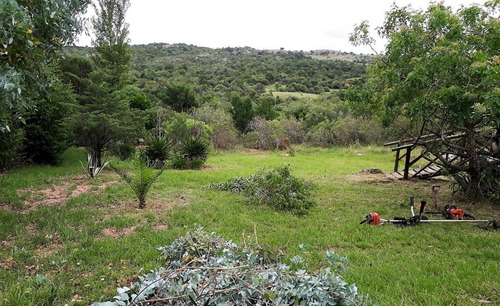 Chacra En Ruta 39