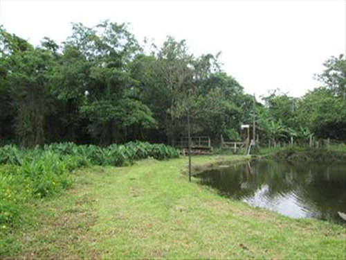 Imagem 7 de 16 de Rural - Venda - Loty - Itanhaem - Ita1332