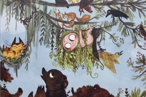 Salvaje. Emily Hughes. Libros Del Zorro Rojo Álbum Ilustrado