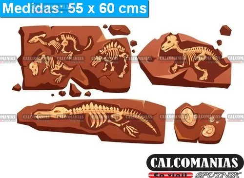 Huesos De Dinosaurio Fosiles | MercadoLibre 📦