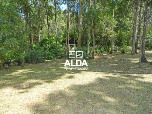 Casa Bella Vista Piriápolis 3 Dorms Alquiler Temporada Ca300142