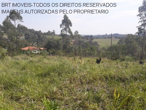 Imagem 3 de 22 de Terreno - Te00125 - 34466729