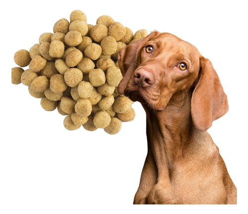 Proplan Kidney Function A Granel 20kg + Regalo A Elegir