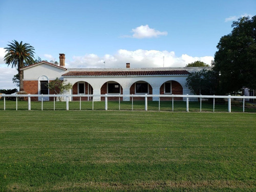 Imagen 1 de 21 de Terreno Campo En Venta Ubicado En Montevideo, Montevideo