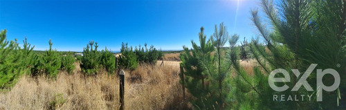 Vende Terreno Con Vista Al Mar En Pichilemu