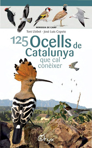 125 Ocells De Catalunya: Que Cal Conèixer (miniguia De Camp)