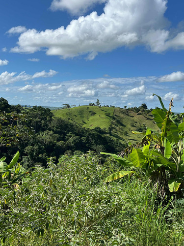 Chacara Boquim Sergipe Povoado Ceu Frutas Variadas
