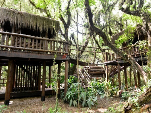 Imagem 6 de 30 de Reserva Ecoville - Sap196 - 34174169
