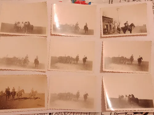 Lote 59 Fotos Antiguas Estancia Candelaria Duhau C 1937 1939 (Usado)