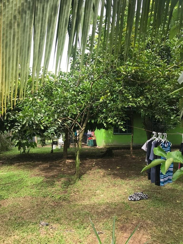Imagen 7 de 23 de Vendo, Cambio, O Financio Propiedad En San Luis Guácimo, Limón 18 Millones Negociable