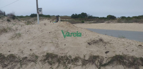 Imagen 3 de 7 de Terrenos Sobre La Rambla De Parque Del Plata