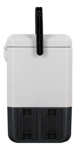 Pequeño Freezer Portátil P8 12, 24 Y 220 Volt 8 Litros