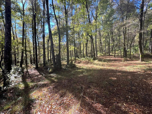 Parcela En La Precordillera Malalcahuello