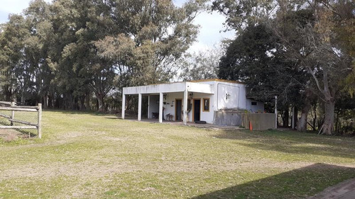 Campo C/ Caballerizas Y Casa Colonial - Villa Elisa