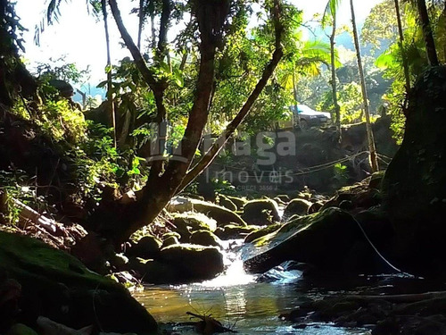 Imagem 3 de 30 de Chácara À Venda Em Guabiruba/sc - 1518c