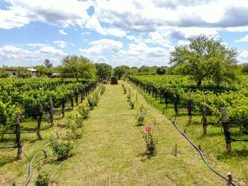 Imagen 5 de 25 de Venta De Emprendimiento Soñado En Merlo, San Luis