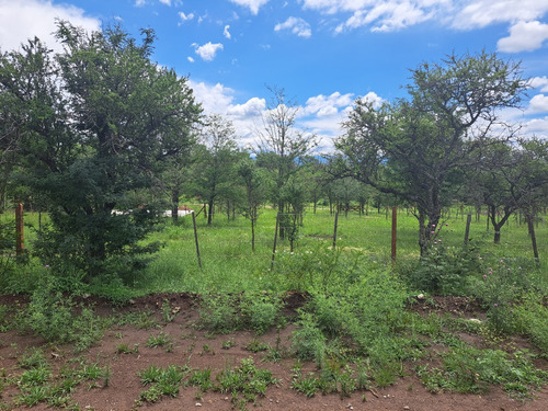 Vendo Lote 600 Mts En Santa Rosa De Calamuchita